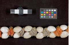 Foto (Detailansicht) von Kopfschmuck aus Wolle mit Schneckenbesatz (NHMW-ZOO-MO-0081100-ETH-132)
